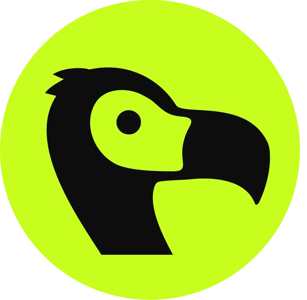Dodo Payments icon