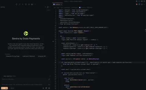 Sentra IDE view